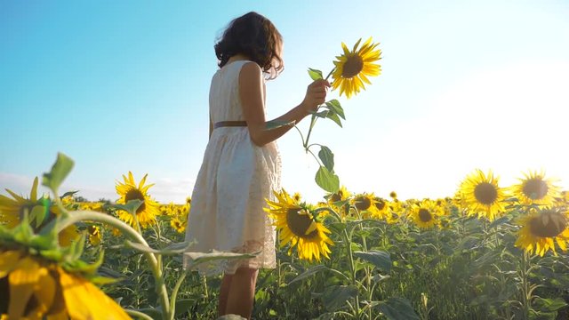 Happy little girl runs happy free across the field with sunflowers. slow motion video. smelling big sunflower on summer field. Delight of a pleasant smell. Summer holiday. concept happiness childhood
