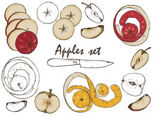 Whole apples, cut into halves and slices, set, vector illustration