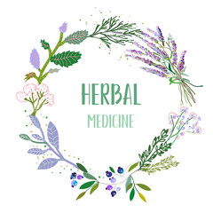 Herbal medicine card or label with frame - flowers, plants and herbs. Vector graphic illustration