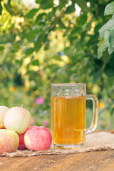 Just picked apples and apple cider in glass goblet on wooden boards