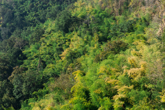 Fototapeta Aerial view of beautiful tropical forest