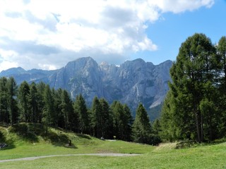 Fototapeta na wymiar Dolomiti, sentiero tra gli abeti