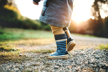 A little toddler boy walking outdoors in nature at sunset. Rear view.