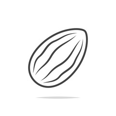 Almond line icon vector