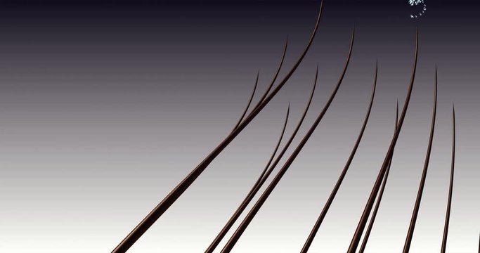 Anti-dandruff shampoo action 3d animation. Hair care and scalp care.