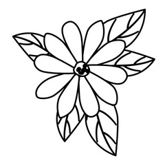 Fototapeta premium beautiful flower and leafs garden vector illustration design