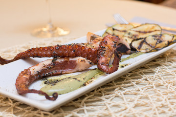 Plate with pulp and grilled vegetables