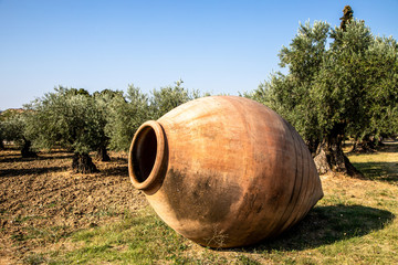 Plantation d'oliviers et jarre en Provence