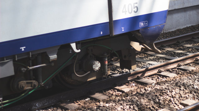 Raille Images Browse 9 Stock Photos, Vectors, and Video Adobe Stock