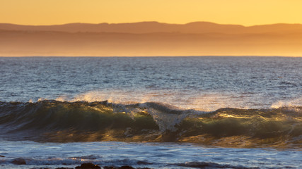 Naklejka premium A breaking wave backlit by the rising sun at sunrise giving it a translucent appearance
