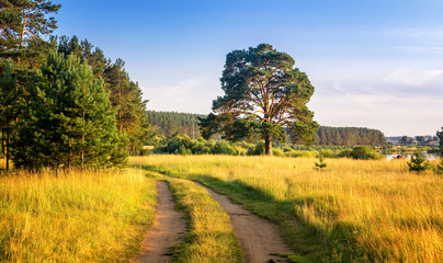 летний пейзаж на берегу уральской реки с соснами, Россия, июнь © 7ynp100