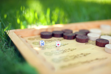 Color detail of a Backgammon game with two dice close up on the grass