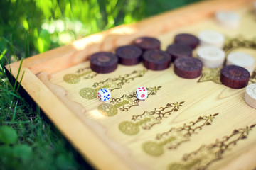 Color detail of a Backgammon game with two dice close up on the grass