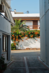 Narrow alleys with traditional greek white houses at Skiathos town, morning at Skiathos island, Greece