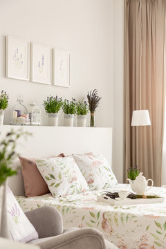 Side view of a bed, pillows, tray with a pot, plants on a shelf and photos on the wall