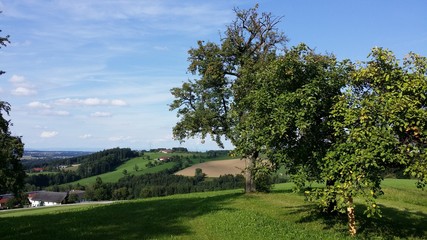 Fototapeta na wymiar Binderberg - Aschach An Der Steyr - Austria