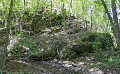 Fototapeta premium Felsen im Wald