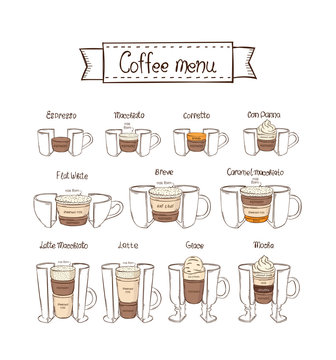 Infographic coffee set. Part 2. White background © L.Darin