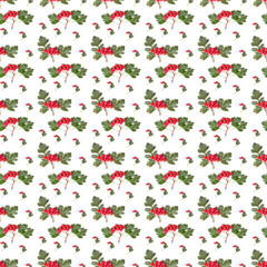 pattern berry red whitethorn on a branch with green leaves