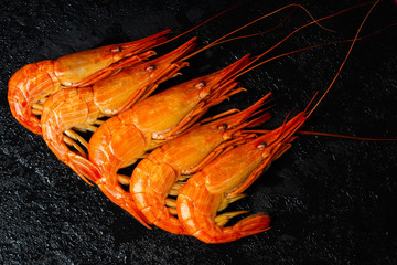Shrimp in a shell on a wet stone background.