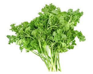 Parsley isolated on white background
