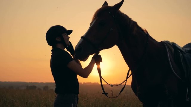 Jockey lady is stroking a mare in the open air