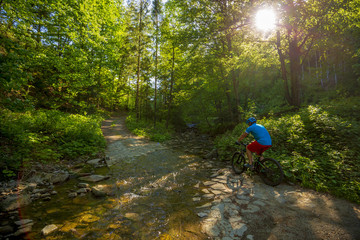 Obraz premium Mountain biker riding on bike in spring mountains forest landscape. Man cycling MTB enduro flow trail track. Outdoor sport activity.