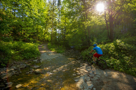 Mountain biker riding on bike in spring mountains forest landscape. Man cycling MTB enduro flow trail track. Outdoor sport activity.