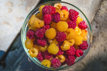 Bowl of yellow and pink raspberries