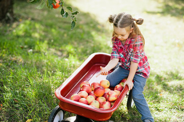 Girl with Apple in the Apple Orchard