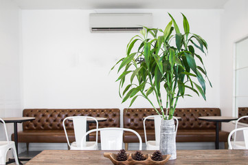 Interior designing,Setting the table for dining white room, the table is decorated with flower jar in coffee shop