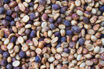 Raw coffee beans roasting to see the texture, business coffee concept