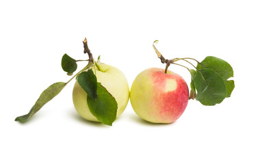 apple with leaves