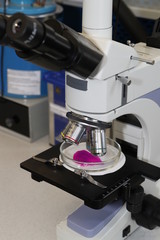 Laboratory microscope