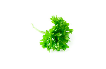 Close up of parsley leaf isolated on white