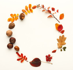 Autumn leaves and nuts in circle frame isolated on white