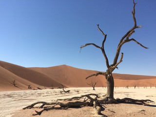 Sossusvlei