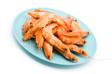 Grilled shrimps on blue plate isolated on white background

