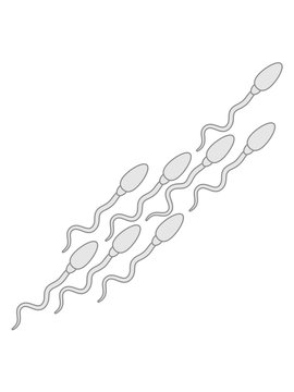 muster sperma spermium schwanger samen abspritzen schw&auml;ngern baby kind eltern mama papa schwimmen wichse comic cartoon