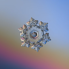 Snowflake glittering on light blue - pink gradient background. Macro photo of real snow crystal:...