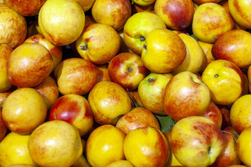 Fresh apples spread out an even layer as a background.