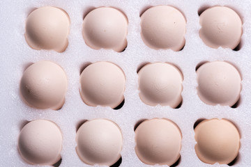 Fresh eggs in hard paper package sold
