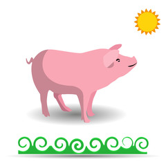 Pink Pig, cartoon on white background,