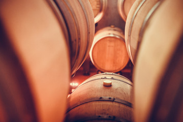 Wine barrels in cellar