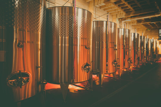 Wine steel tanks in cellar