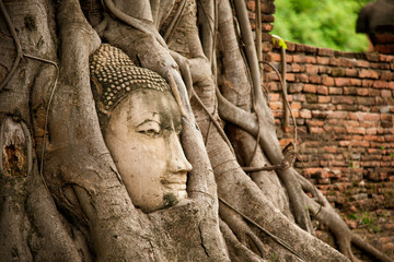 Wat Maha That Ayutthaya Buddha Head statue with trapped in Bodhi Tree roots at Wat Maha That (Ayutthaya). Ayutthaya historical park Thailand. Vintage effect.