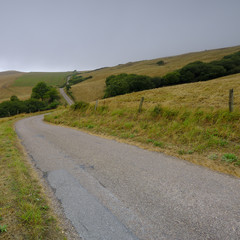 Winding country lane up Abbotsbury Hill, Dorset, UK