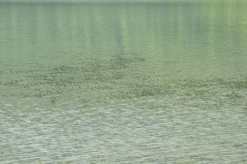 Seeboden als Hintergrund