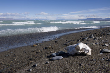 beach with waves