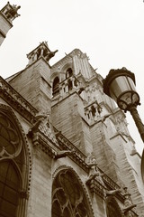 Fototapeta na wymiar the Notre Dame of Paris